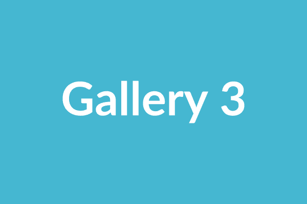 Placeholder: gallery-3